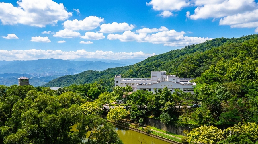 Gemini_Generated_Image_翠柏